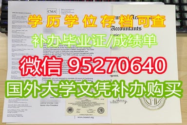 买毕业证,电子版布朗大学       学历证书