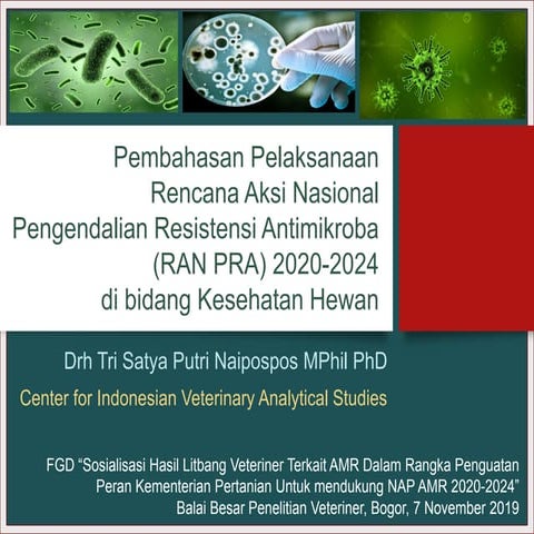 Fgd Pelaksanaan Rencana Aksi Nasional Resistensi Antimikroba 2020 2024