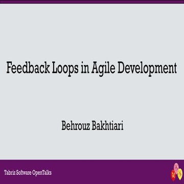 Feedback Loops in Agile Development