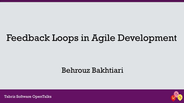 Feedback Loops in Agile Development