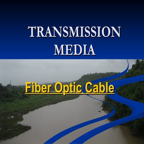 Fiber optic