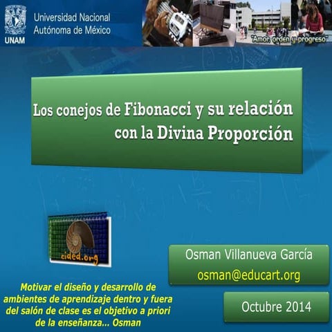 Los conejos de Fibonacci y su relación con la Divina Proporción
