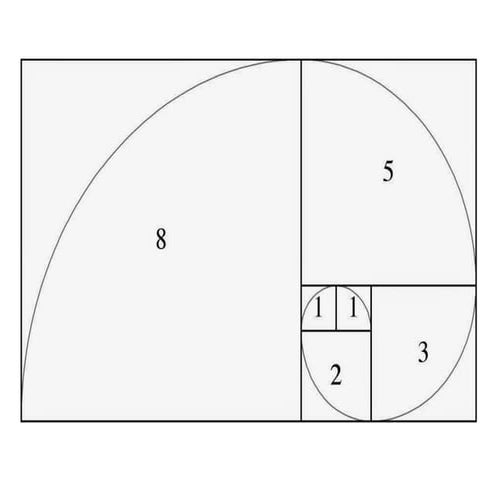 Fibonacci spiral sheet