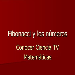 Fibonacci y los números grandes