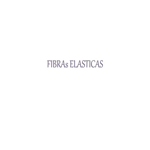 Fibras elasticas