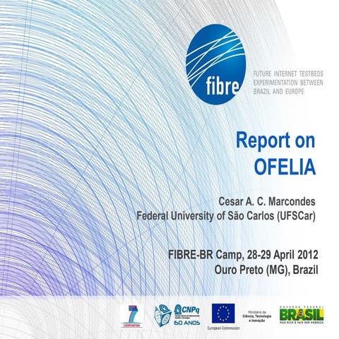 Report on OFELIA