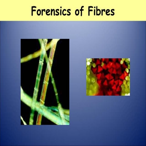Fibre and hair analysis