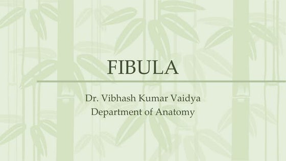Anatomy and physiology of tibia and fibula tibia | DOC