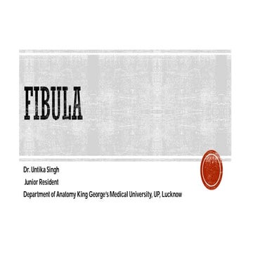 Fibula final.pdf