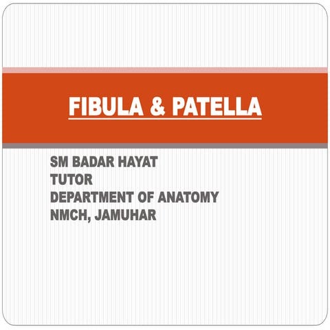 Fibula & patella 