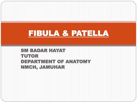 Anatomy and physiology of tibia and fibula tibia | DOC