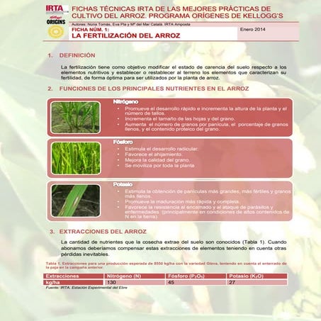 SESIONES FORMATIVAS IRTA DE LAS MEJORES PRÁCTICAS DE CULTIVO DEL ARROZ. PROGRAMA ORÍGENES DE KELLOGG’S.Ficha técnica 1.  la fertilizacion del arroz