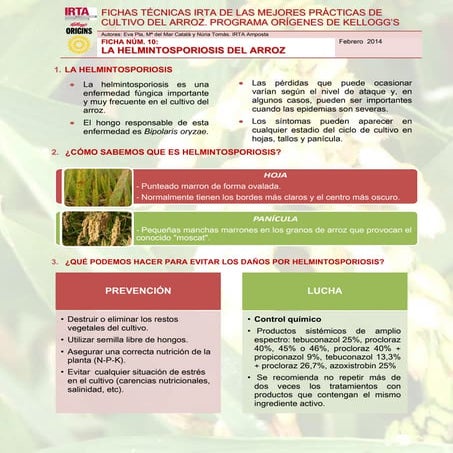 Ficha técnica 10. helmintosporiosis