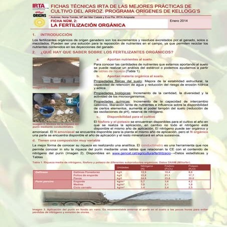 SESIONES FORMATIVAS IRTA DE LAS MEJORES PRÁCTICAS DE CULTIVO DEL ARROZ. PROGRAMA ORÍGENES DE KELLOGG’S. Ficha técnica 2  fertilización orgánica