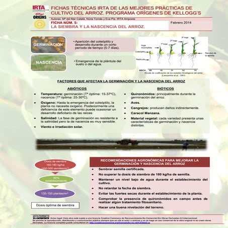 Ficha técnica 5.  la siembra y nacencia del arroz