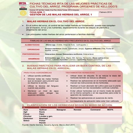 SESIONES FORMATIVAS IRTA DE LAS MEJORES PRÁCTICAS DE CULTIVO DEL ARROZ. PROGRAMA ORÍGENES DE KELLOGG’S. Ficha técnica 7.  la gestión de las malas hierbas en el arroz  1