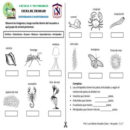 Ficha De Trabajo Sobre Vertebrados E Invertebrados