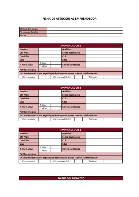 Ficha de atención al emprendedor