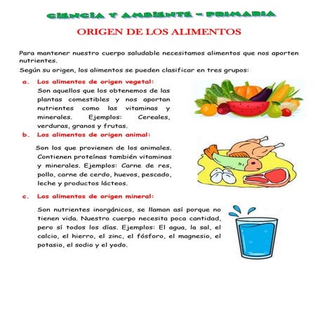 Ficha de ciencia y ambiente para segundo grado de primaria