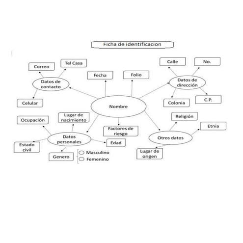 Ficha de identificación 