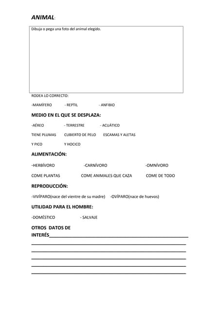FICHERO DE ANIMALES.(FICHA)