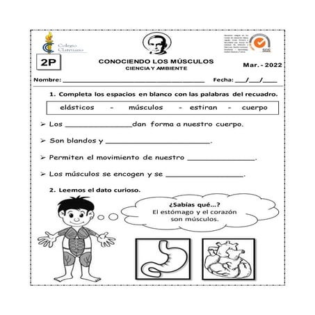 FICHA DE LOS MÚSCULOS.docx