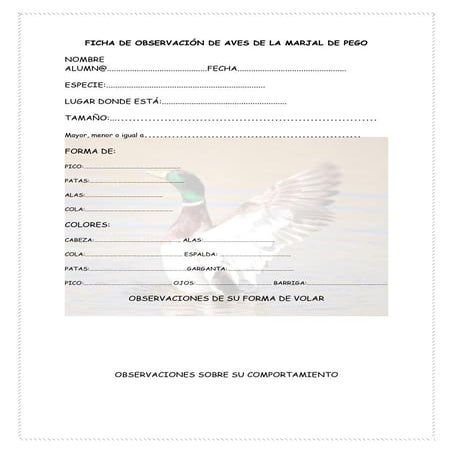 Ficha de observación de aves de la marjal de pego