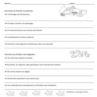 Ficha de plural e singular