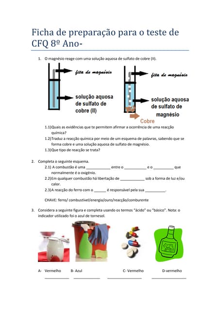 Ficha de preparação para o teste de...