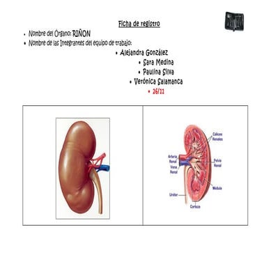 Ficha de registro organo ciencias udp (1)