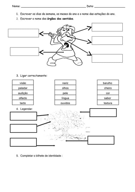 Ficha de revisões gerais