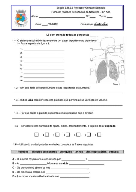 Ficha de revisões sist  respiratório