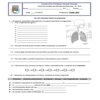 Ficha de revisões sist  respiratório