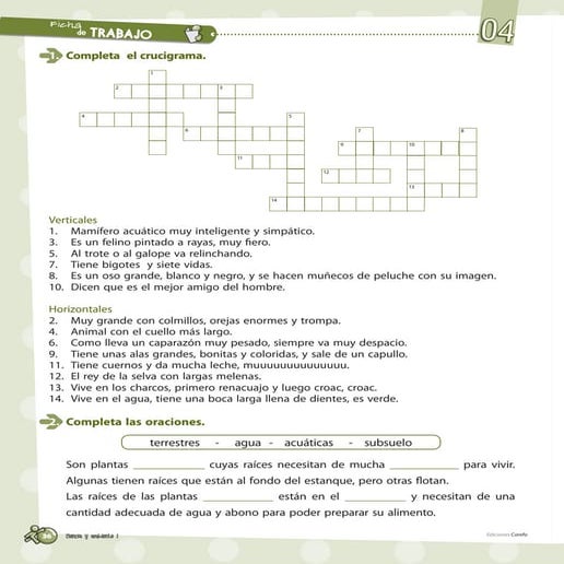 Ficha de trabajo - Animales