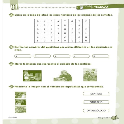 Ficha de trabajo - Sentidos