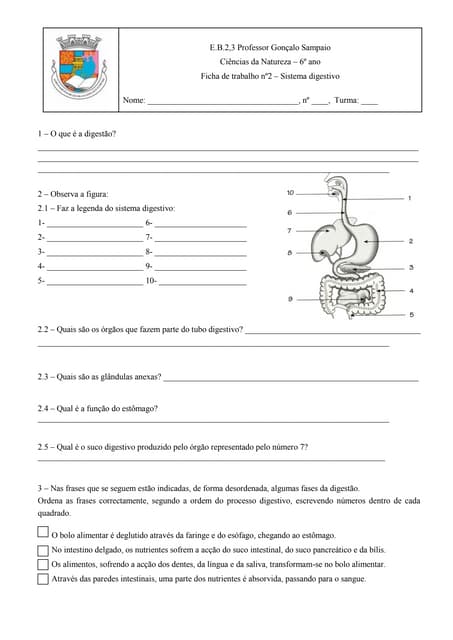 Ficha de trabalho sistema digestivo