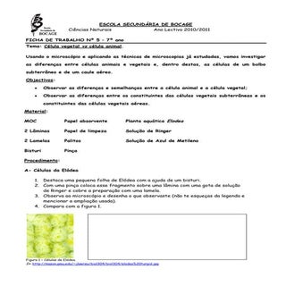 Ficha de trabalho_5_celula_vegetal_...