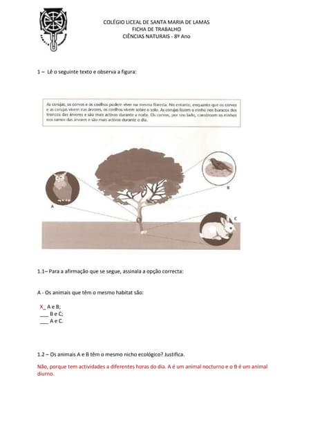 Ficha de trabalho 8º ano (correcção)