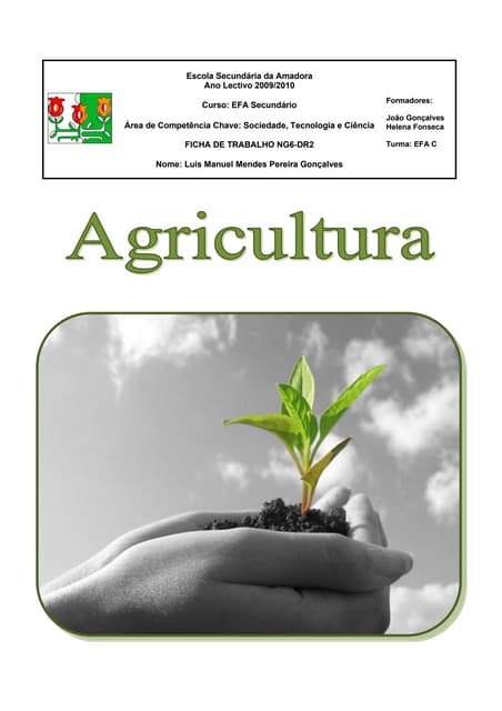 Ficha de trabalho_stc_-_ng6-dr2_-_1...
