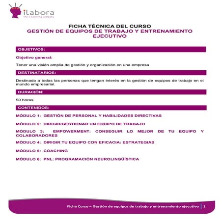Ficha gestion de equipos de trabajo y entrenamiento ejecutivo