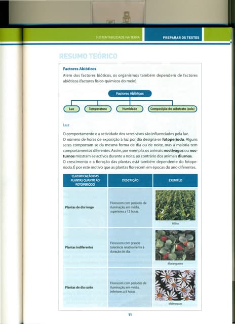 Ficha Informativa   Ecossistemas E ...