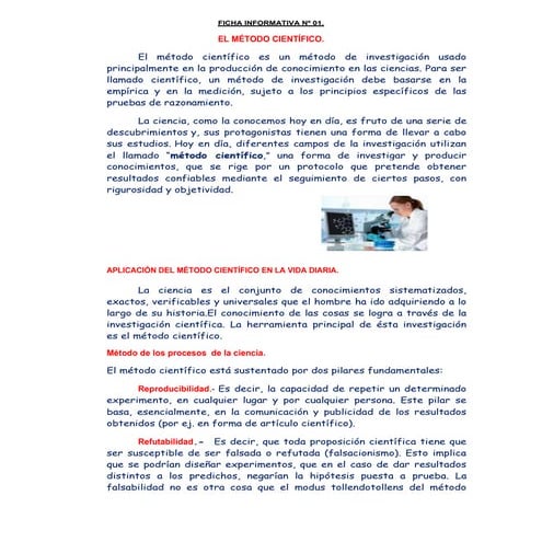 Ficha informativa nº 01