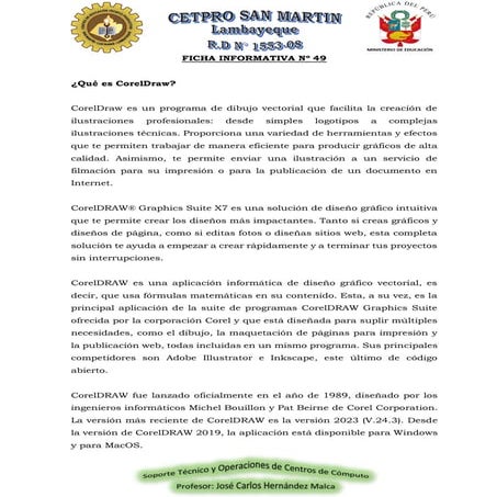 FICHA INFORMATIVA N° 49.pdf