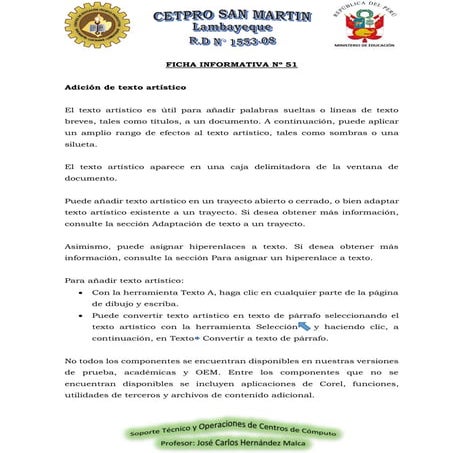 FICHA INFORMATIVA N° 51.pdf