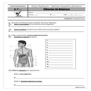 Ficha orientacao de estudo sistema ...