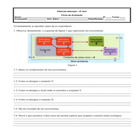 Fichas+de+avaliação+8º+ano colectanea