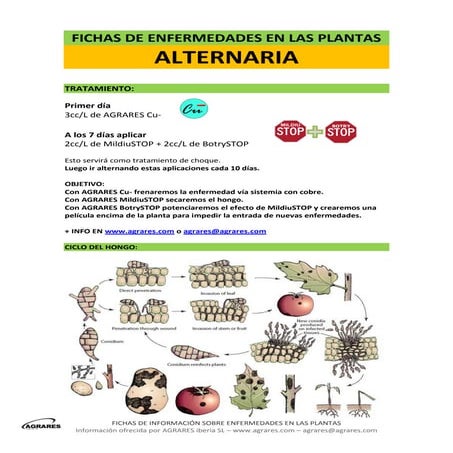 Fichas de enfermedades en las plantas alternaria