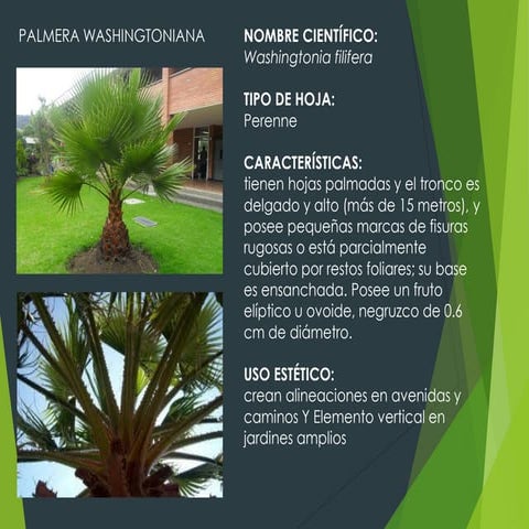 Fichas de vegetación