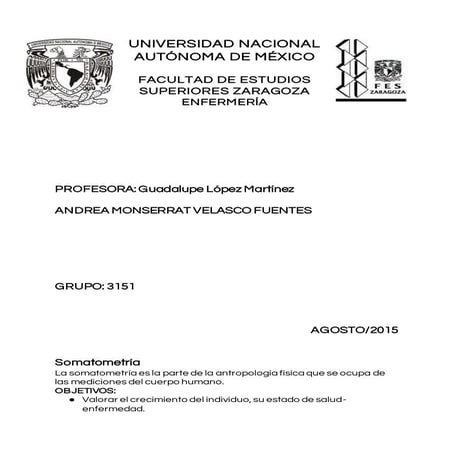 Fichas enfermería. Fes Zaragoza.