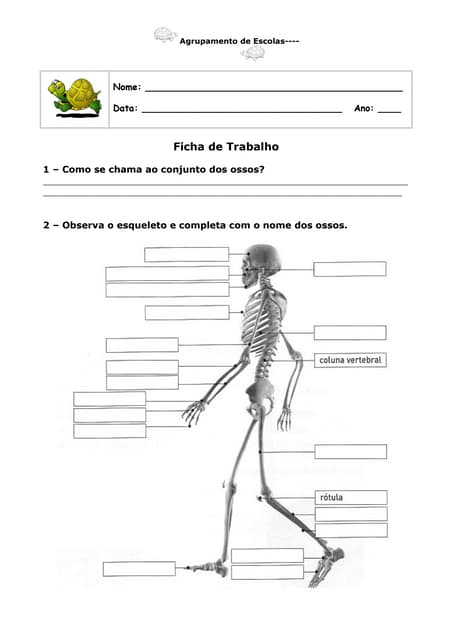 Fichas estudo do meio